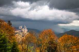 Storm in the Smokeys-9027.jpg